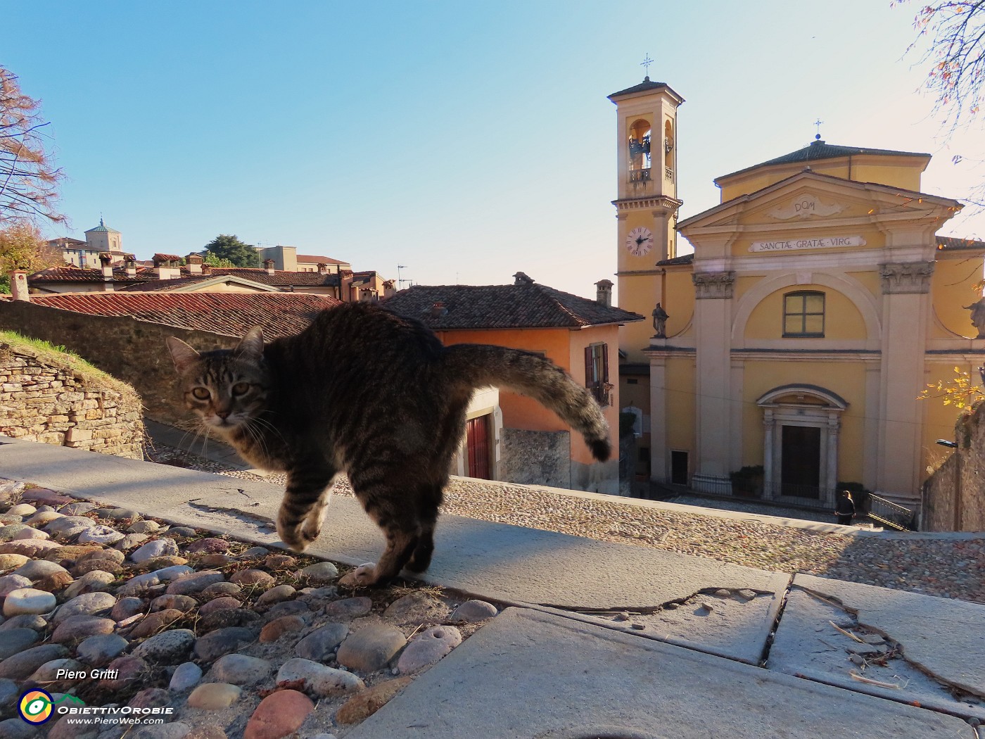 04 Chiesa di Santa Grata in Borgo Canale.JPG